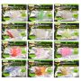 AR67 Soft Eel Lure