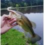 AR24 Senkos soft worm fishing lure